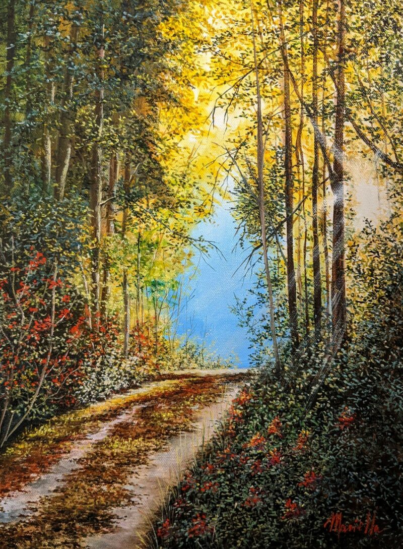 Sunlit Forest Path - Image 2