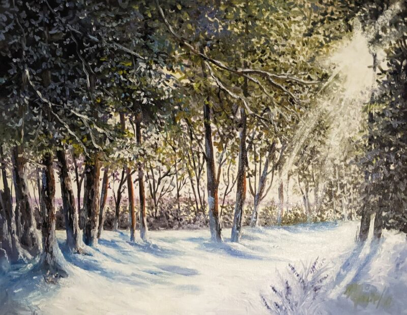 Winter Sunlight - Image 2